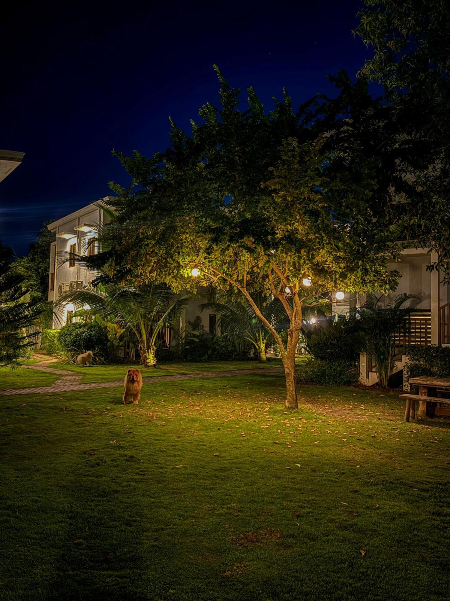 Red Picnic Hostel Панглао Экстерьер фото